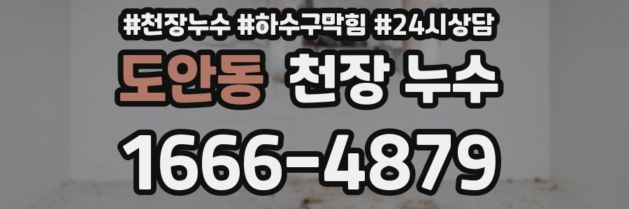 도안동 천장 누수