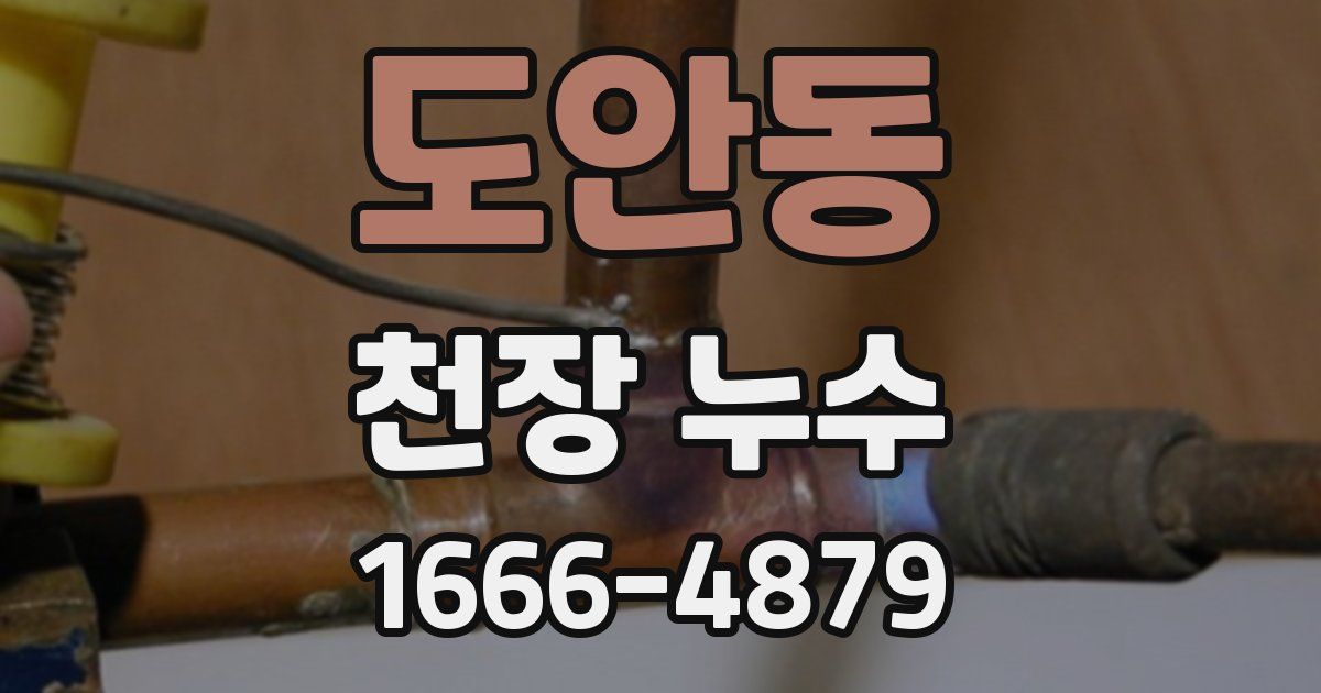 도안동 천장 누수