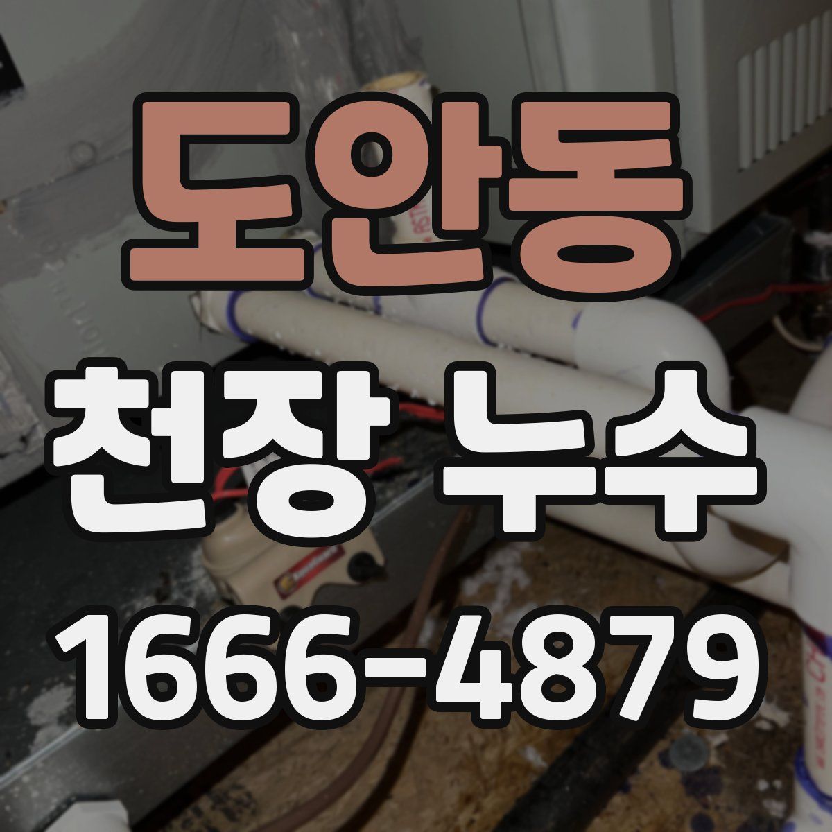 도안동 천장 누수