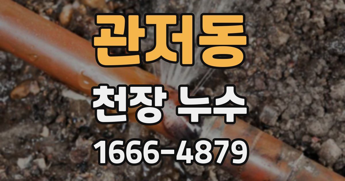 관저동 천장 누수