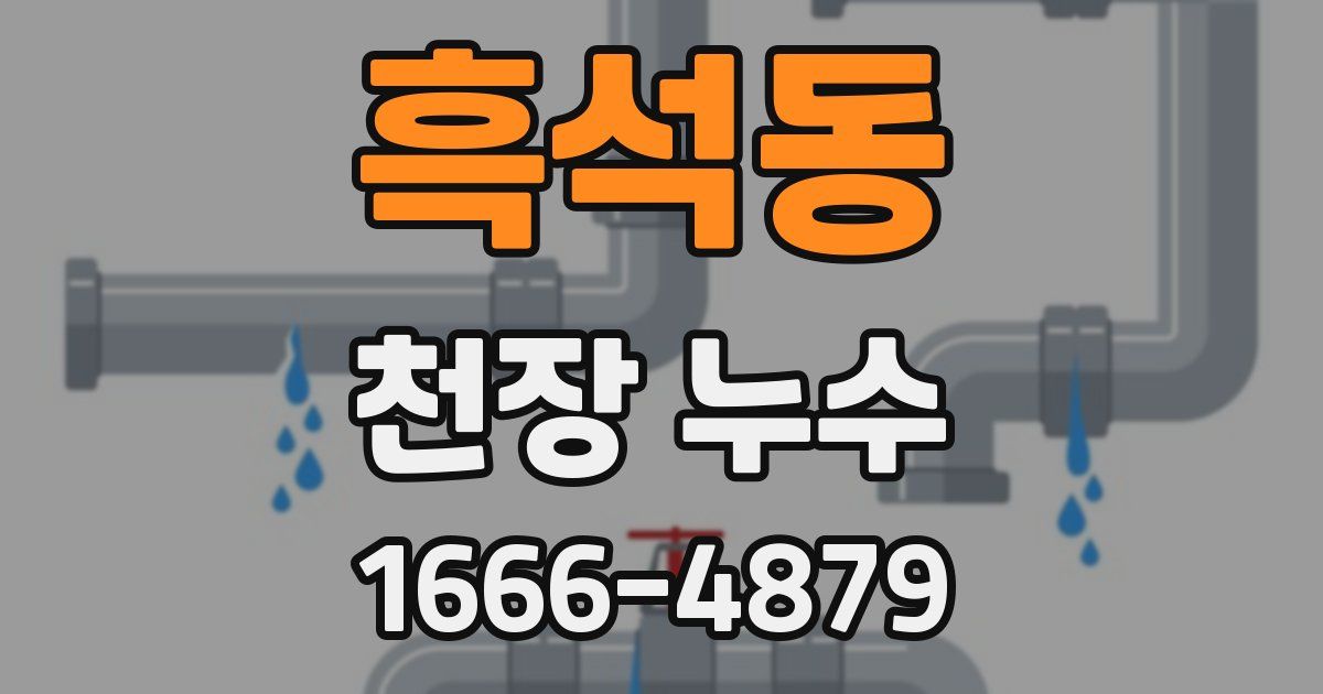 흑석동 천장 누수