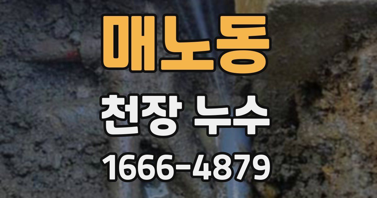 매노동 천장 누수