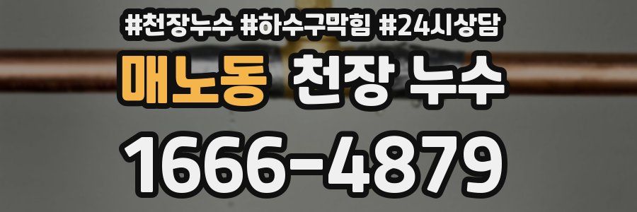 매노동 천장 누수