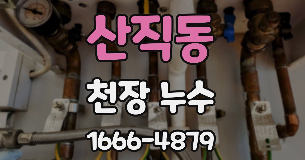 산직동 천장 누수