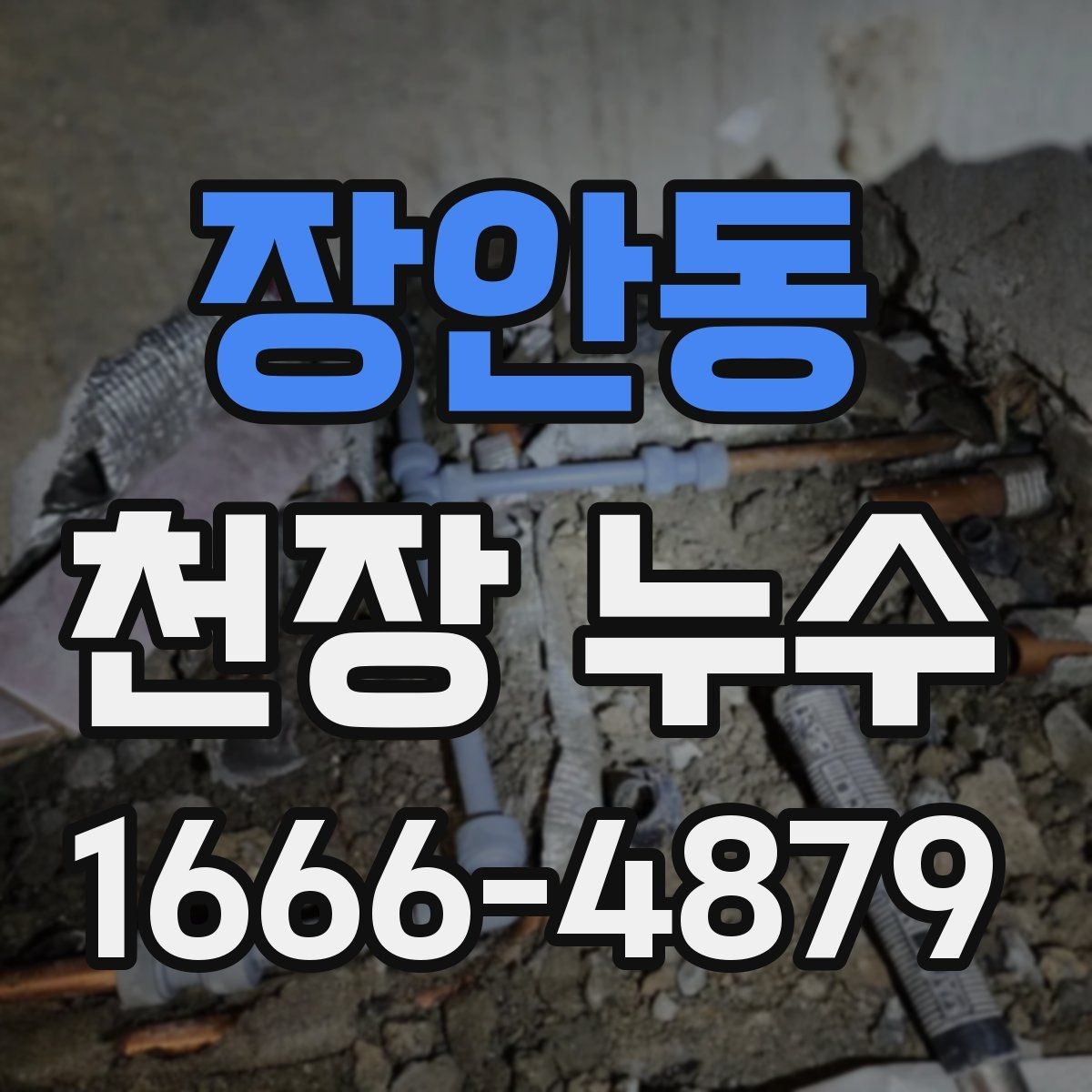 장안동 천장 누수 더 큰 수리로 번지기 전