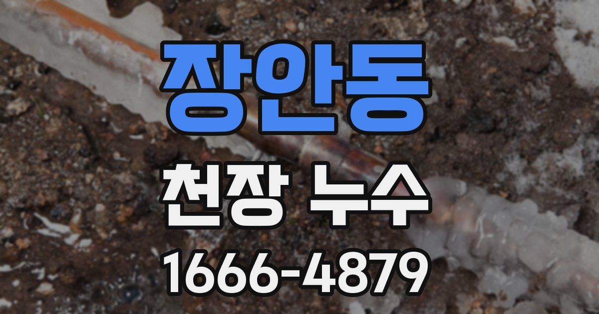 장안동 천장 누수