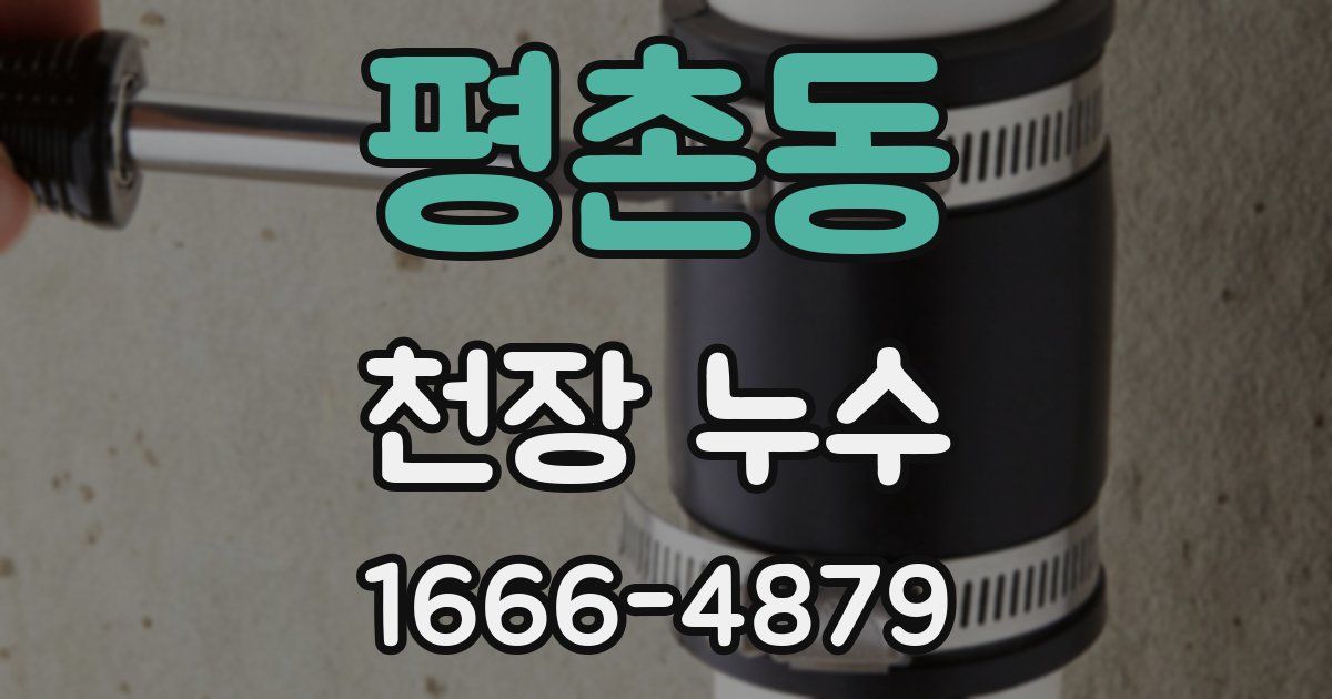 평촌동 천장 누수