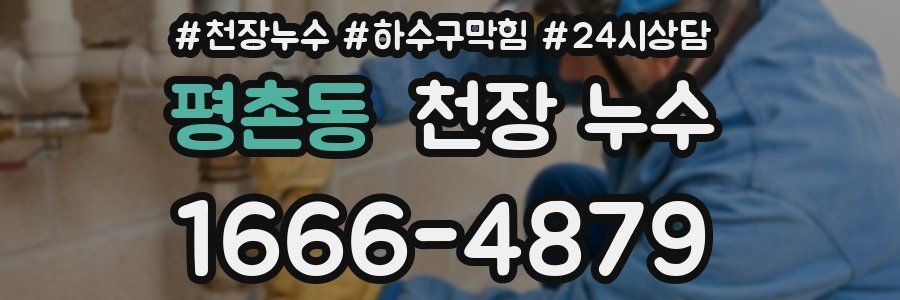 평촌동 천장 누수