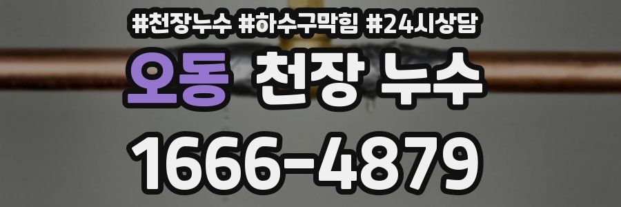 오동 천장 누수