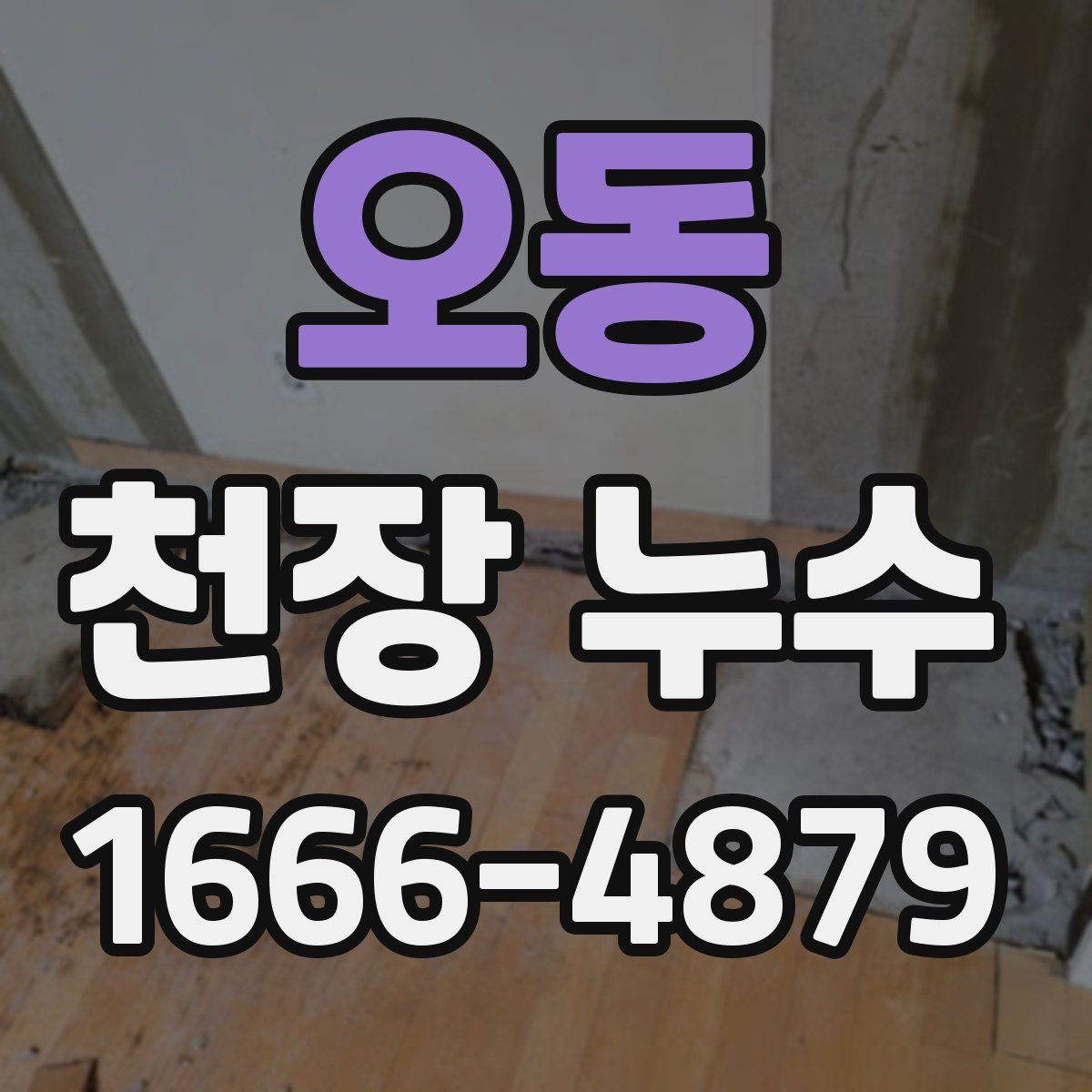 오동 천장 누수