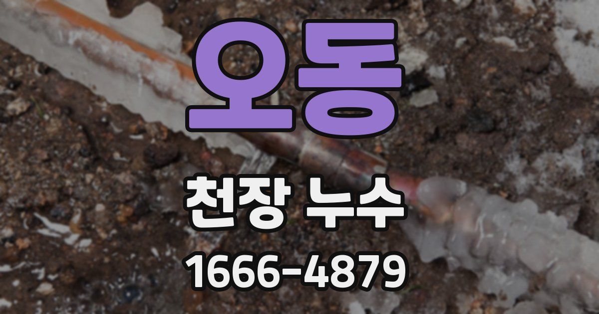 오동 천장 누수