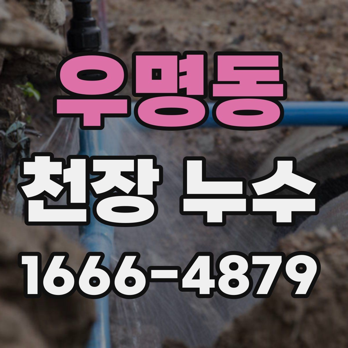 우명동 천장 누수 기다릴수록 복구 범위가 커집니다