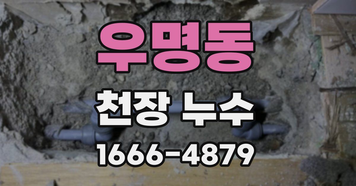 우명동 천장 누수