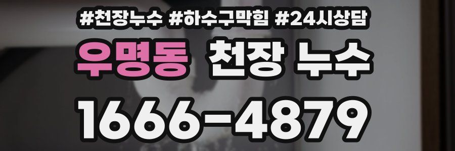 우명동 천장 누수