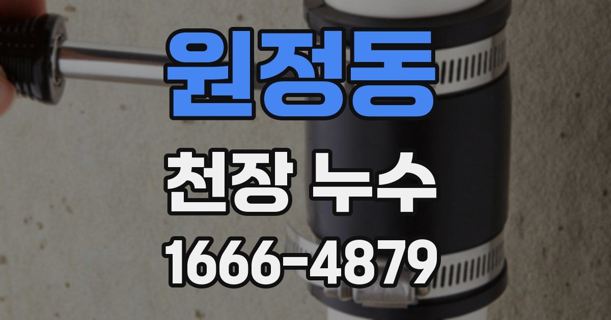 원정동 천장 누수