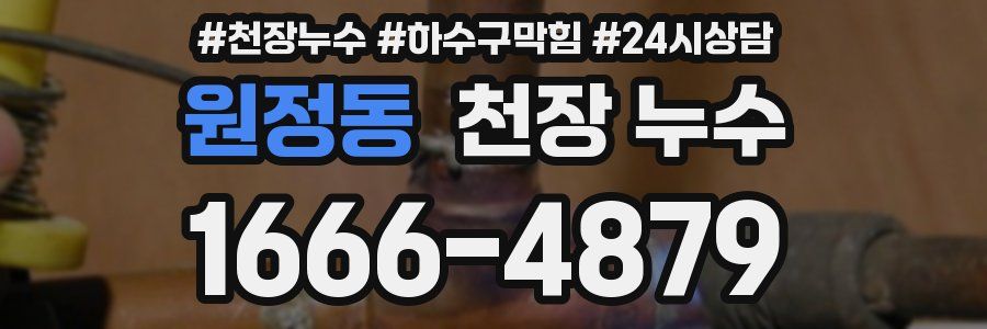 원정동 천장 누수