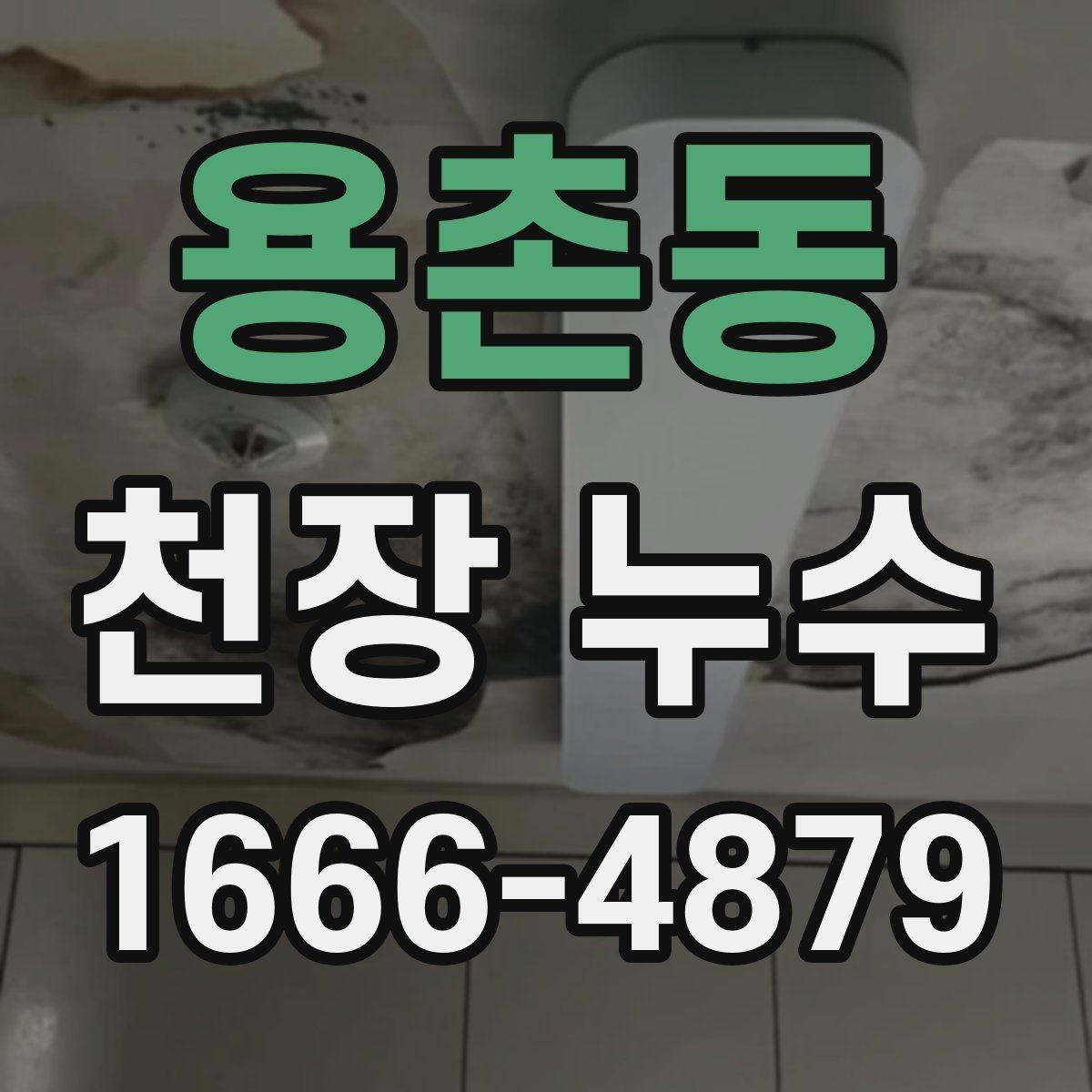 용촌동 천장 누수 배수구 역류가 천장 누수처럼 보일 수 있을까