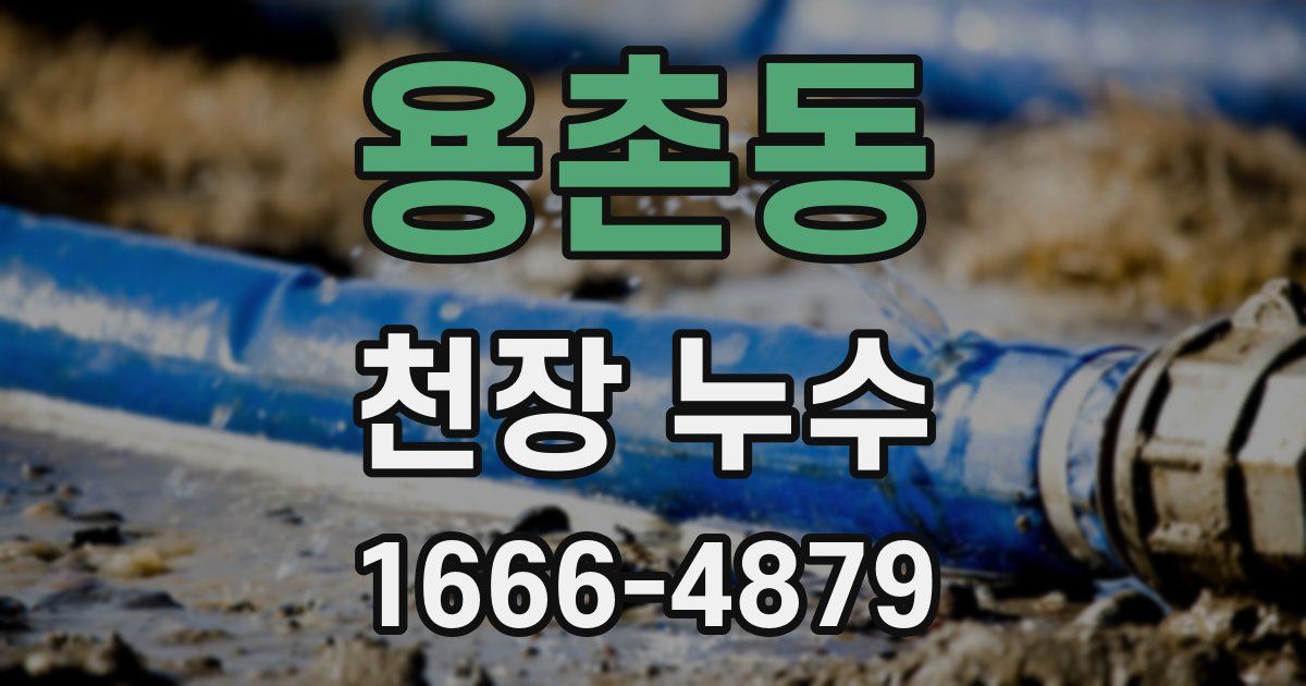 용촌동 천장 누수