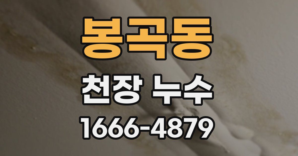 봉곡동 천장 누수