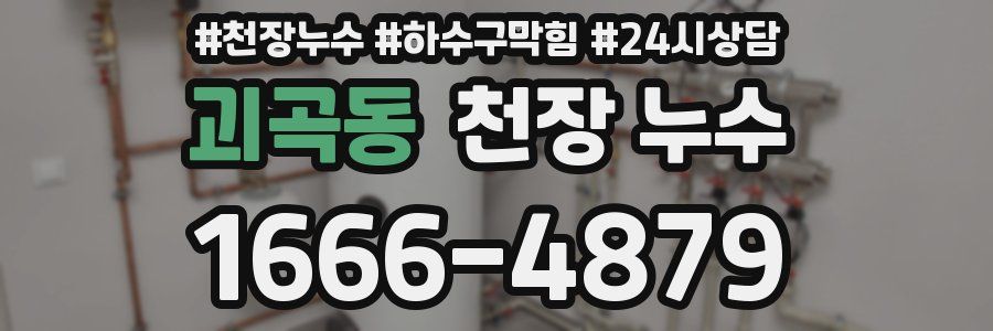 괴곡동 천장 누수