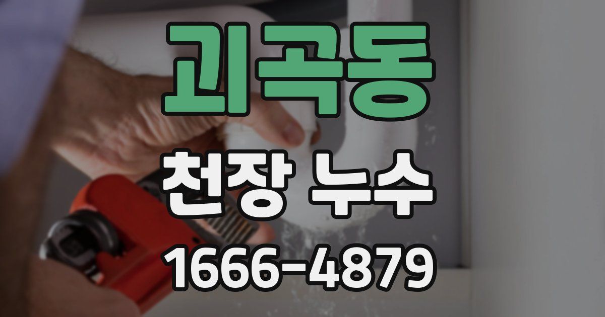 괴곡동 천장 누수