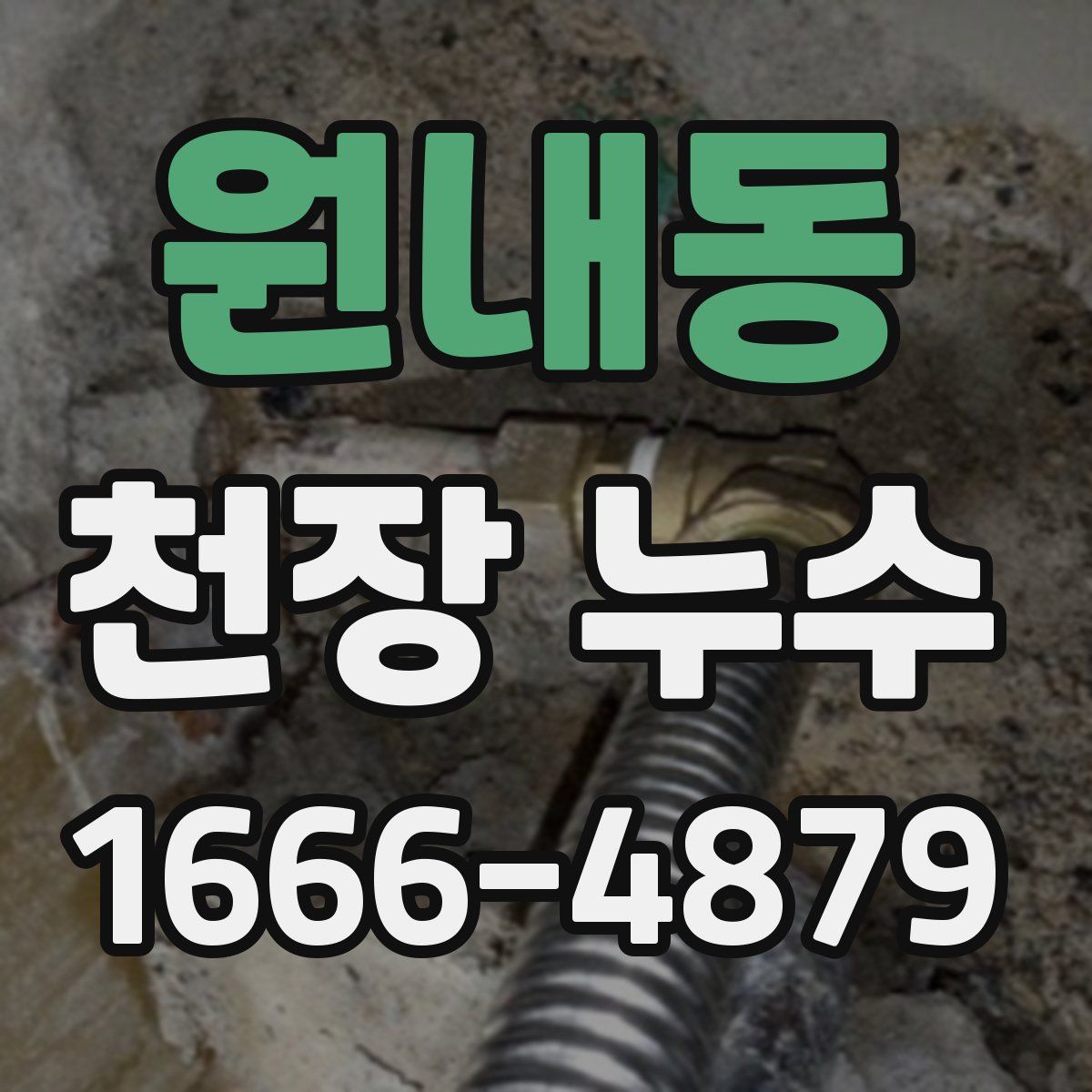 원내동 천장 누수