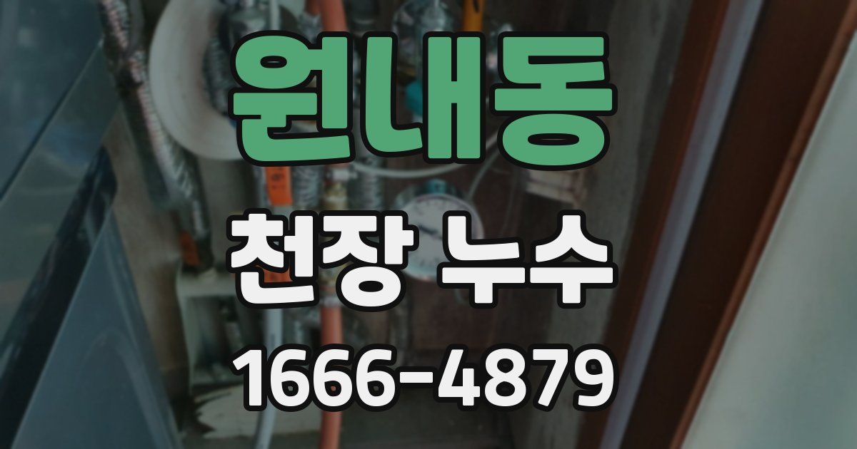 원내동 천장 누수