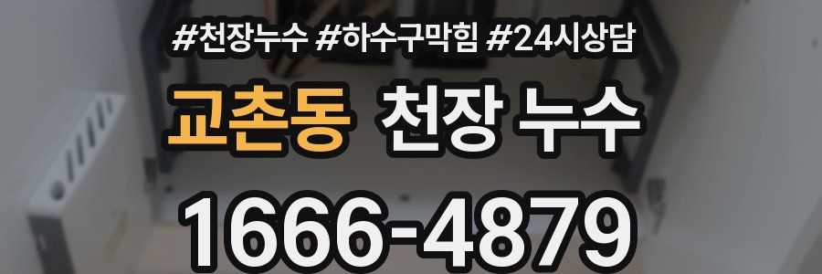 교촌동 천장 누수