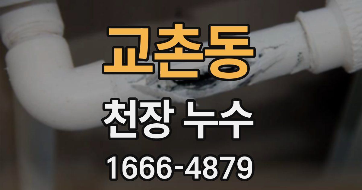 교촌동 천장 누수