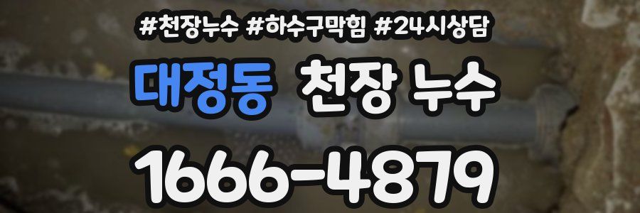 대정동 천장 누수