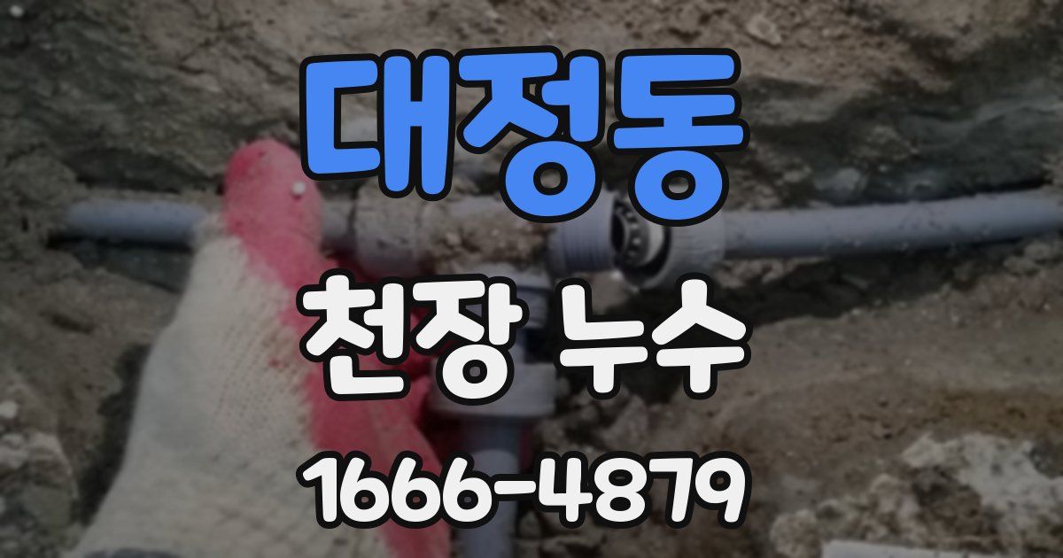 대정동 천장 누수