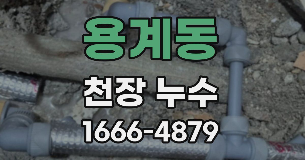 용계동 천장 누수