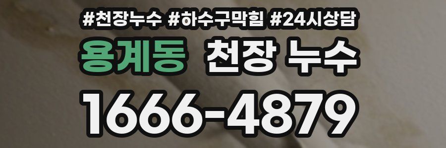 용계동 천장 누수