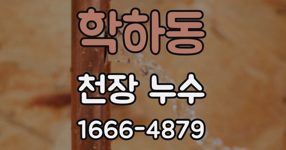 학하동 천장 누수