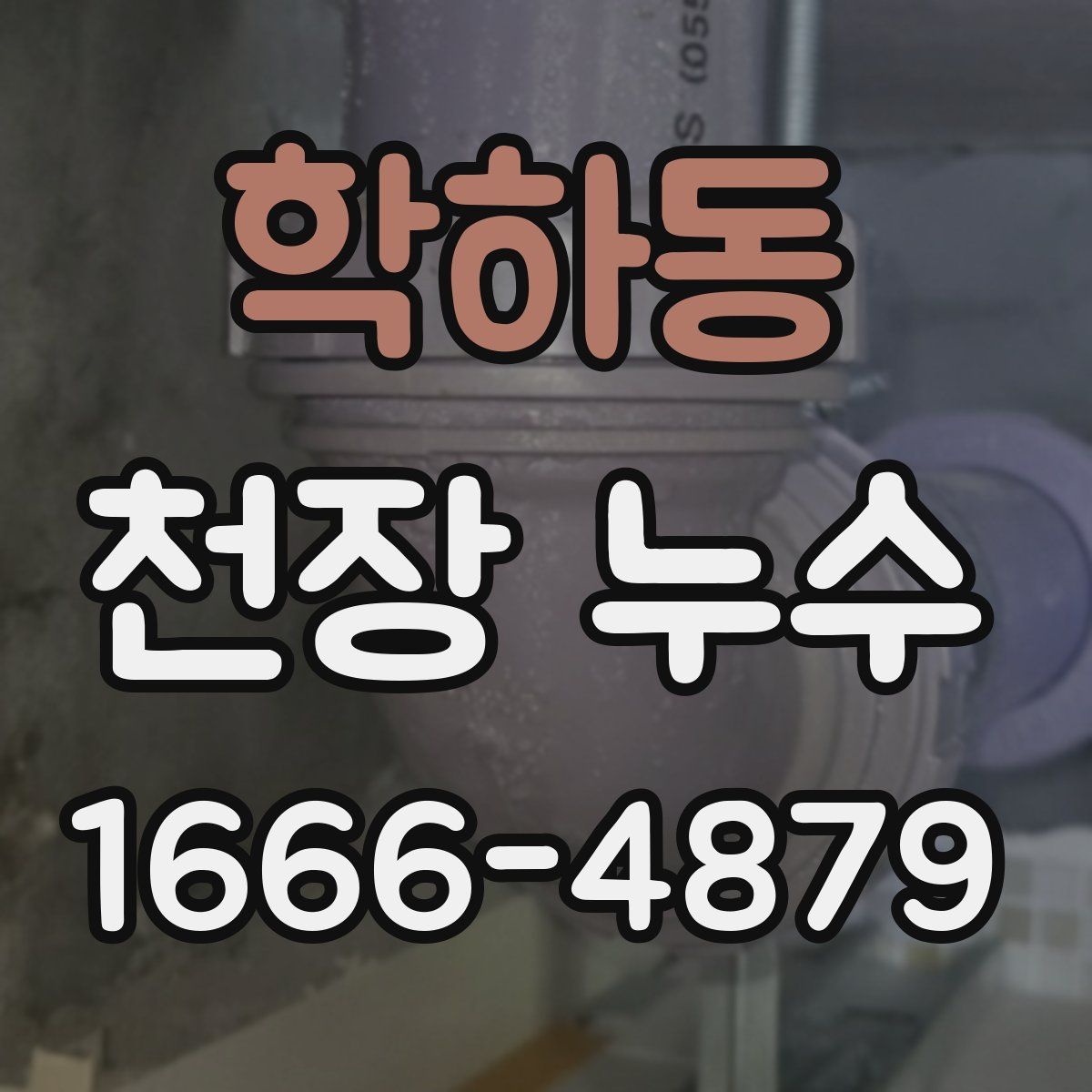 학하동 천장 누수