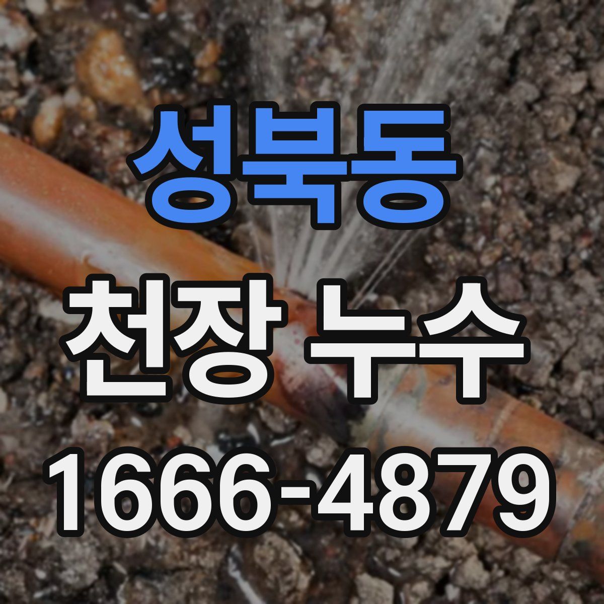 성북동 천장 누수
