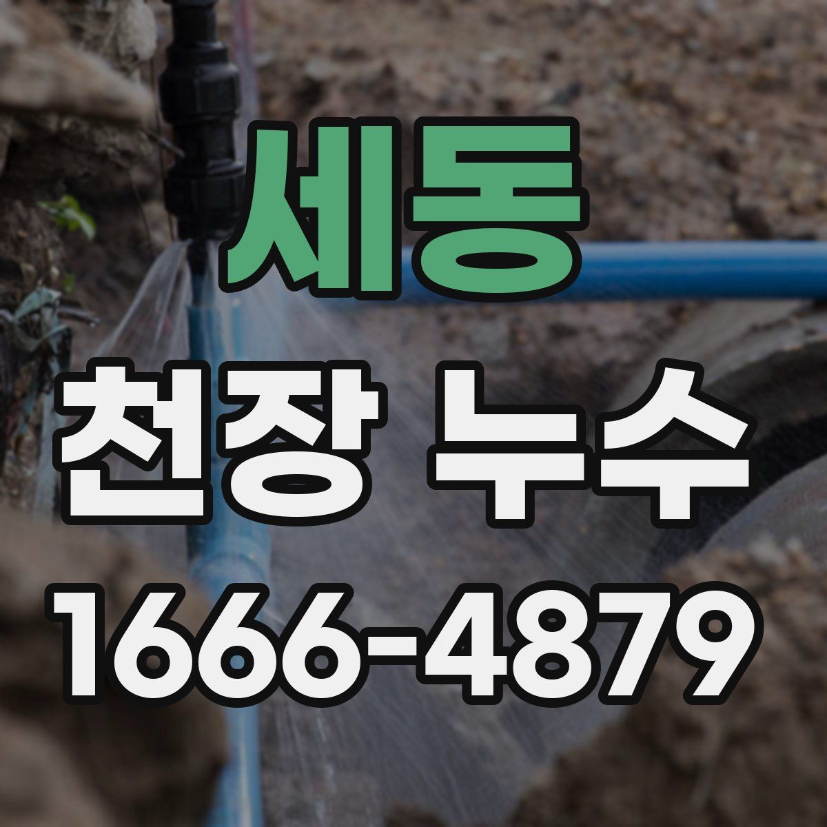 세동 천장 누수