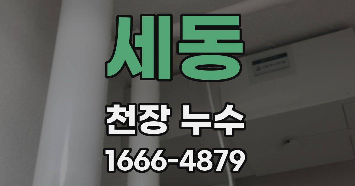 세동 천장 누수