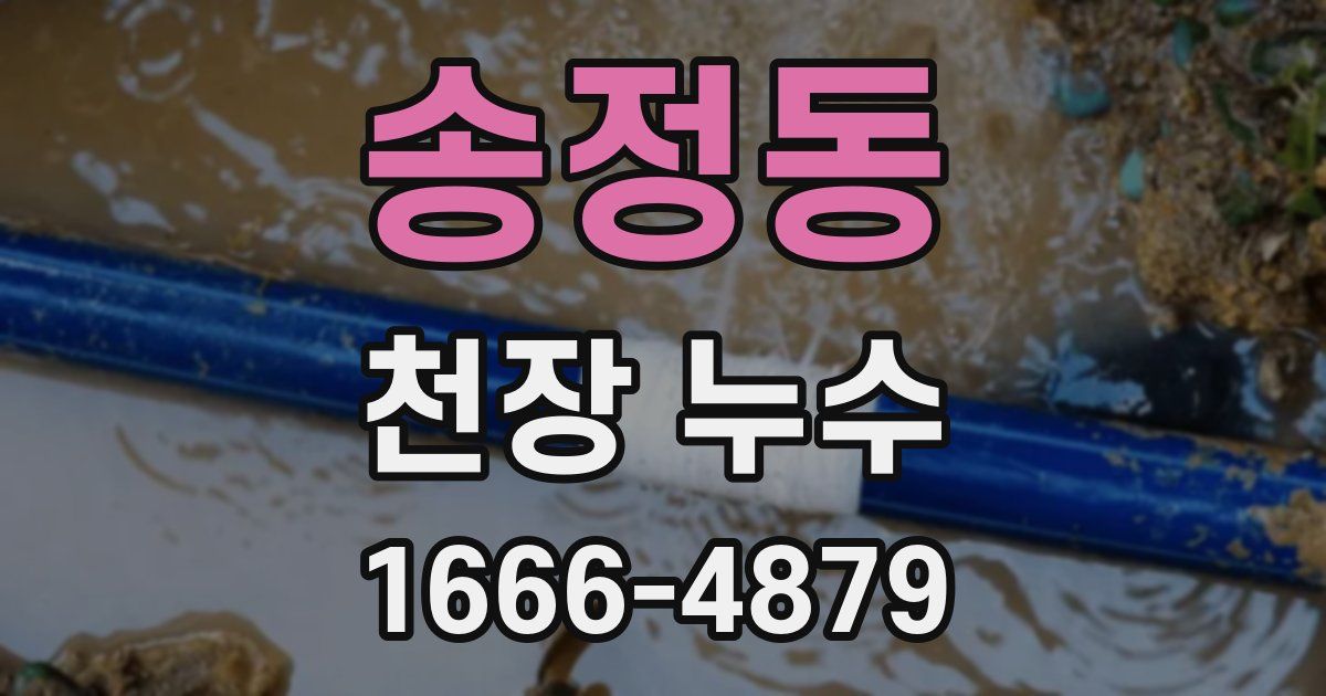 송정동 천장 누수