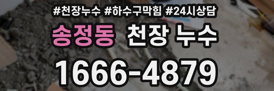 송정동 천장 누수