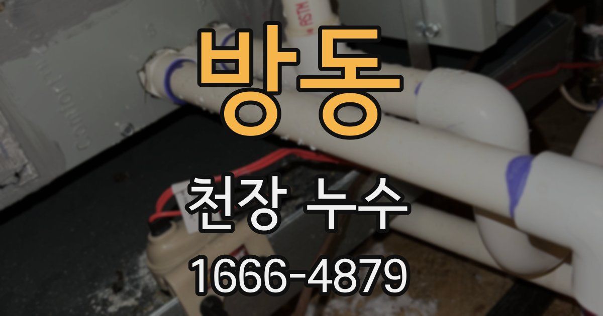 방동 천장 누수