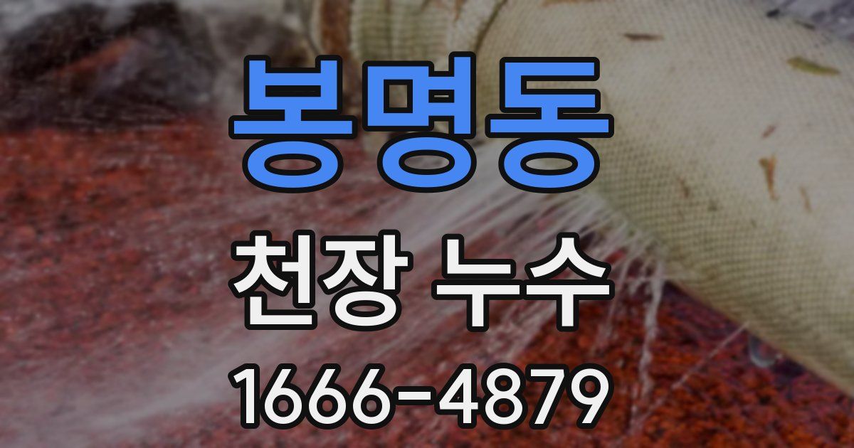 봉명동 천장 누수