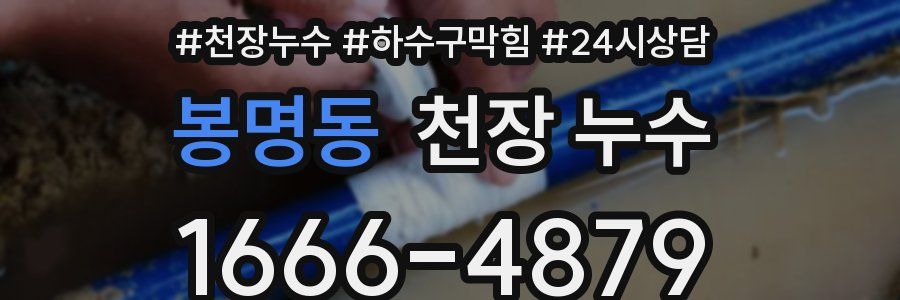 봉명동 천장 누수