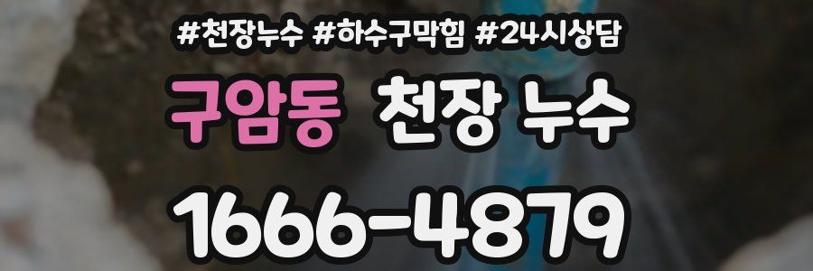 구암동 천장 누수