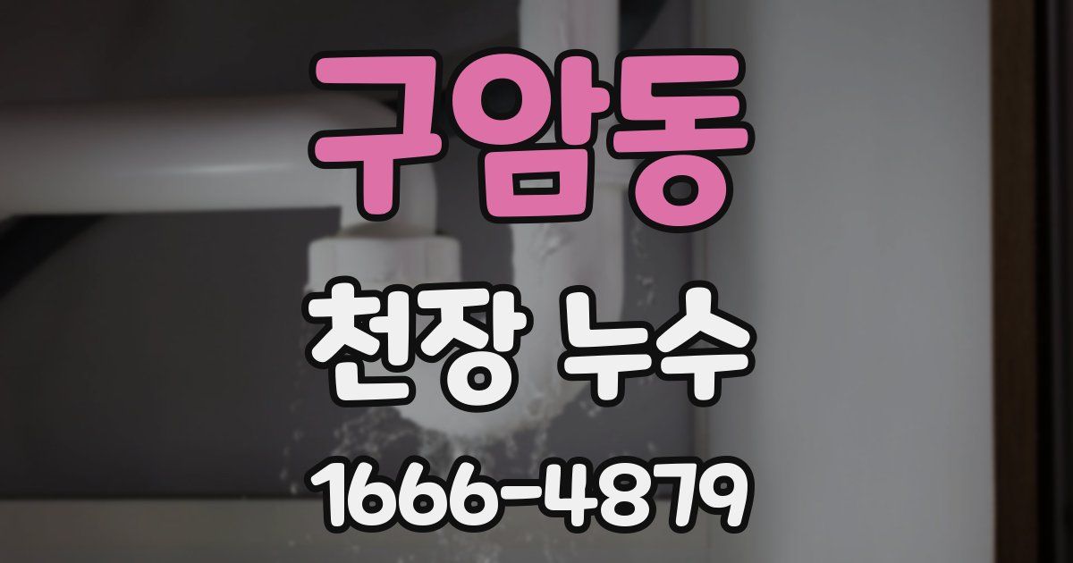 구암동 천장 누수