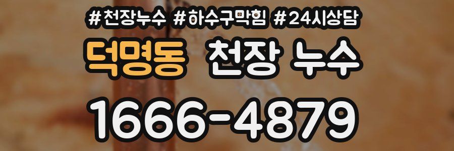 덕명동 천장 누수