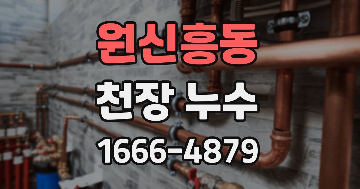 원신흥동 천장 누수