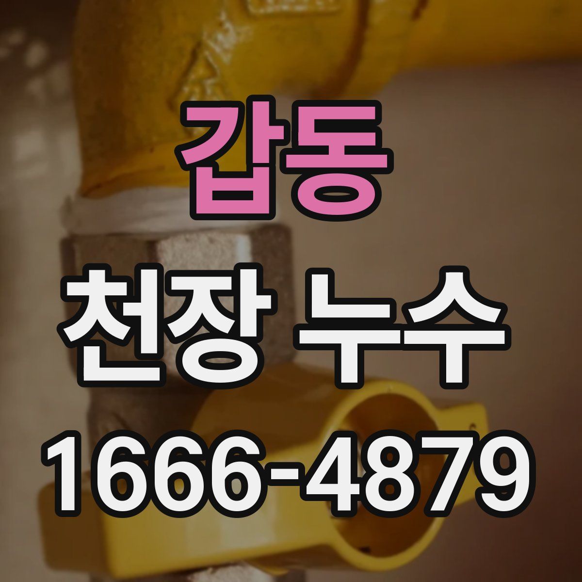 갑동 천장 누수