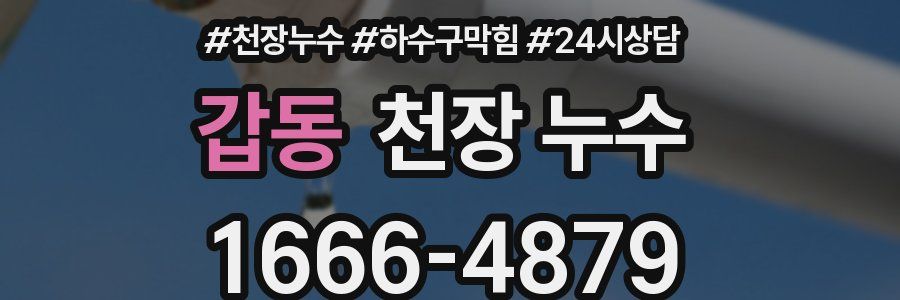 갑동 천장 누수