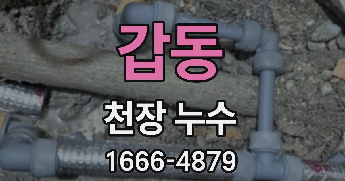 갑동 천장 누수